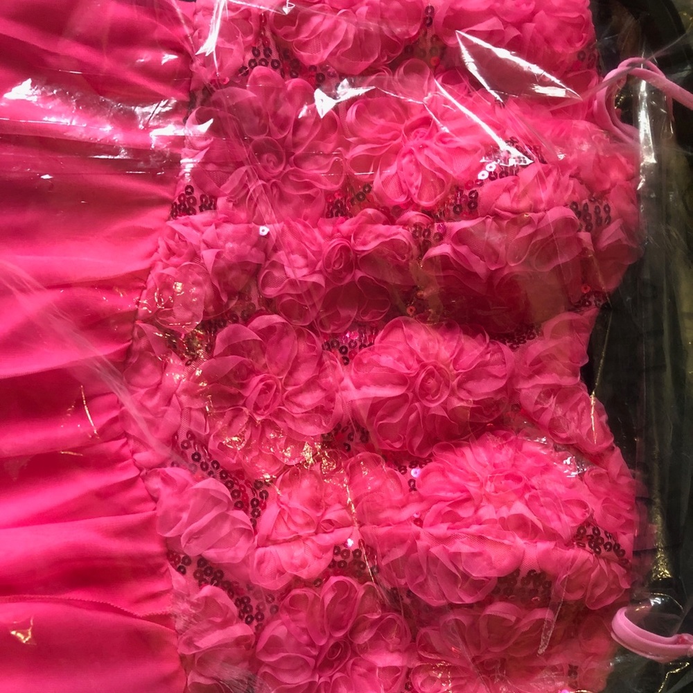 Pink Homecoming/Prom dress